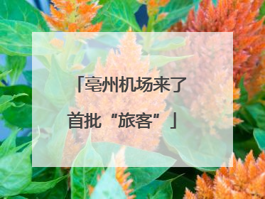 亳州机场来了首批“旅客”