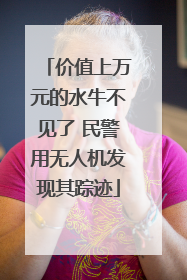 价值上万元的水牛不见了 民警用无人机发现其踪迹