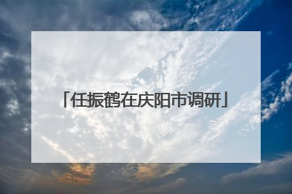 任振鹤在庆阳市调研