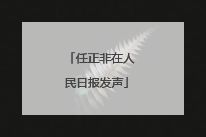 任正非在人民日报发声