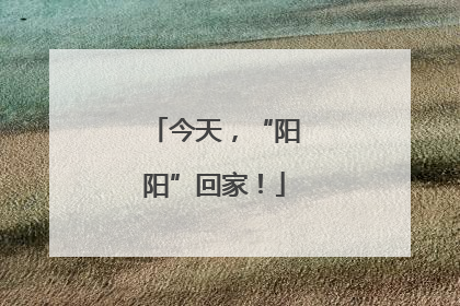 今天，“阳阳”回家！