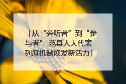从“旁听者”到“参与者” 范县人大代表列席机制焕发新活力