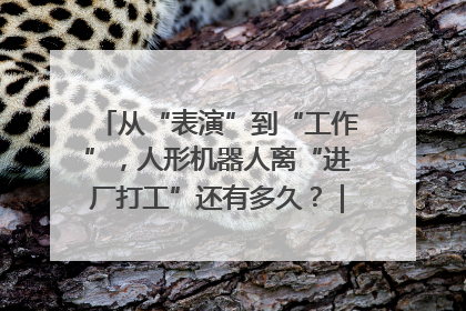 从“表演”到“工作”，人形机器人离“进厂打工”还有多久？｜机器人商业新纪元