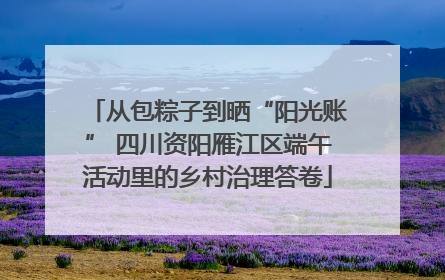 从包粽子到晒“阳光账” 四川资阳雁江区端午活动里的乡村治理答卷