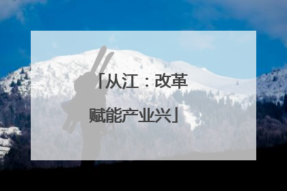 从江：改革赋能产业兴