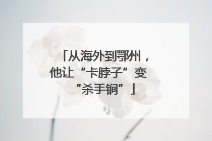 从海外到鄂州，他让“卡脖子”变“杀手锏”