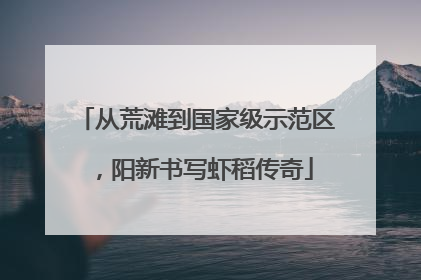 从荒滩到国家级示范区，阳新书写虾稻传奇