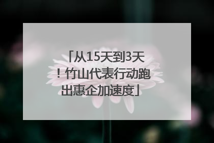 从15天到3天！竹山代表行动跑出惠企加速度