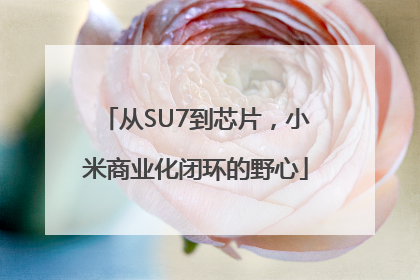 从SU7到芯片，小米商业化闭环的野心
