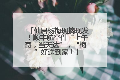 仙居杨梅现摘现发！顺丰航空件“上午寄，当天达”，“梅”好送到家！