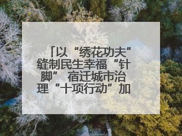 以“绣花功夫”缝制民生幸福“针脚” 宿迁城市治理“十项行动”加速落地