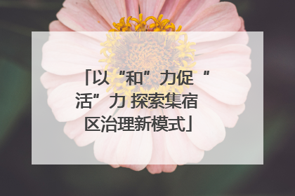 以“和”力促“活”力 探索集宿区治理新模式