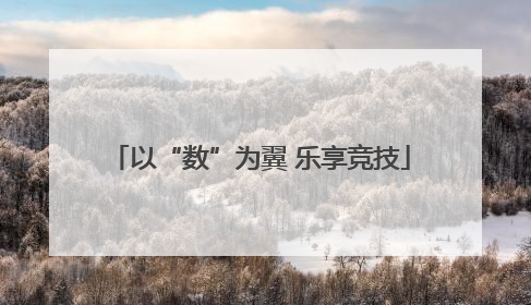 以“数”为翼 乐享竞技