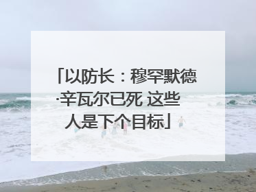 以防长：穆罕默德·辛瓦尔已死 这些人是下个目标
