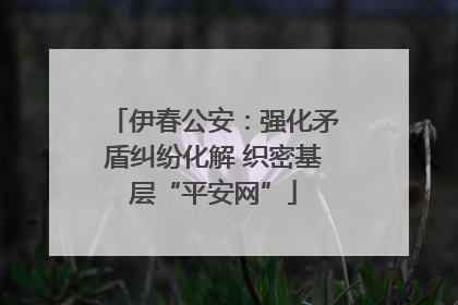 伊春公安：强化矛盾纠纷化解 织密基层“平安网”