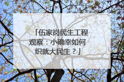 伍家岗民生工程观察：小确幸如何织就大民生？