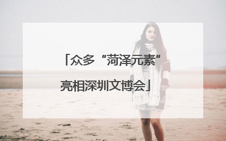 众多“菏泽元素”亮相深圳文博会