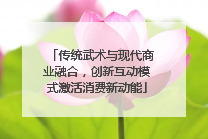 传统武术与现代商业融合，创新互动模式激活消费新动能