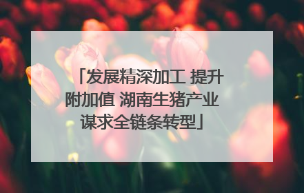 发展精深加工 提升附加值 湖南生猪产业谋求全链条转型