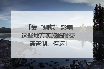 受“蝴蝶”影响 这些地方实施临时交通管制、停运