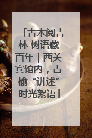 古木阅吉林 树语藏百年｜西关宾馆内，古榆“讲述”时光絮语
