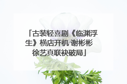 古装轻喜剧《临渊浮生》横店开机 谢彬彬徐艺真联袂破局