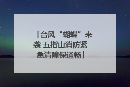 台风“蝴蝶”来袭 五指山消防紧急清障保通畅
