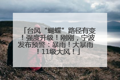 台风“蝴蝶”路径有变！强度升级！刚刚，宁波发布预警：暴雨！大暴雨！11级大风！