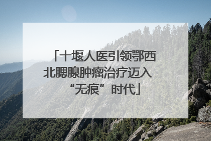 十堰人医引领鄂西北腮腺肿瘤治疗迈入“无痕”时代