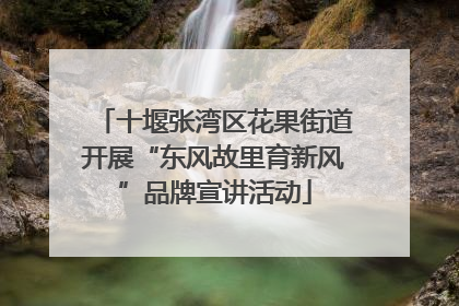 十堰张湾区花果街道开展“东风故里育新风”品牌宣讲活动