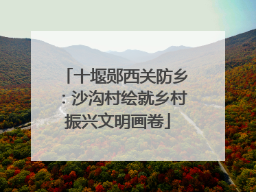 十堰郧西关防乡：沙沟村绘就乡村振兴文明画卷