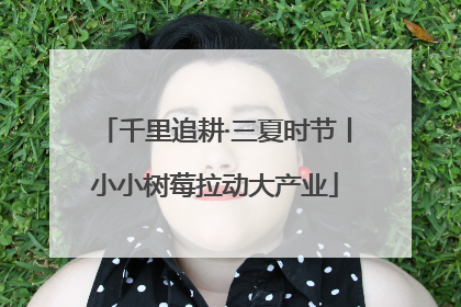 千里追耕·三夏时节丨小小树莓拉动大产业