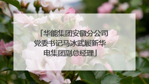 华能集团安徽分公司党委书记马冰武履新华电集团副总经理