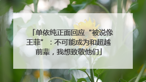 单依纯正面回应“被说像王菲”：不可能成为和超越前辈，我想致敬他们