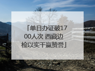 单日办证破1700人次 西藏边检以实干赢赞誉