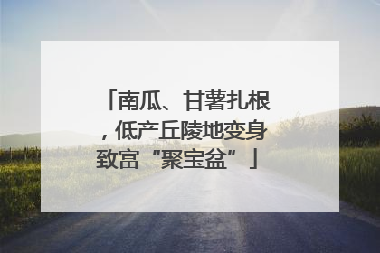 南瓜、甘薯扎根，低产丘陵地变身致富“聚宝盆”