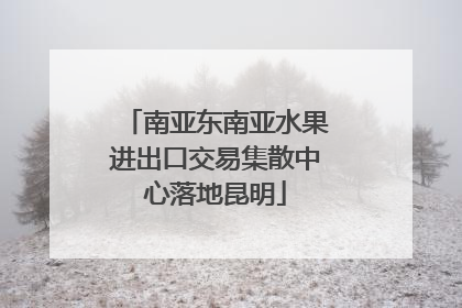 南亚东南亚水果进出口交易集散中心落地昆明