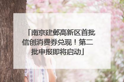 南京建邺高新区首批信创消费券兑现！第二批申报即将启动