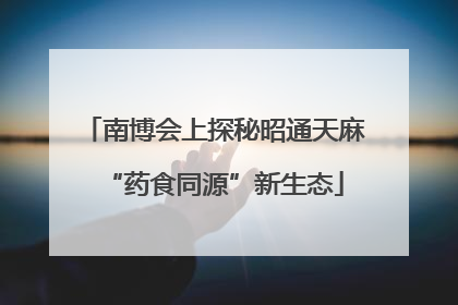 南博会上探秘昭通天麻“药食同源”新生态