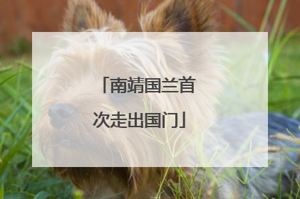 南靖国兰首次走出国门