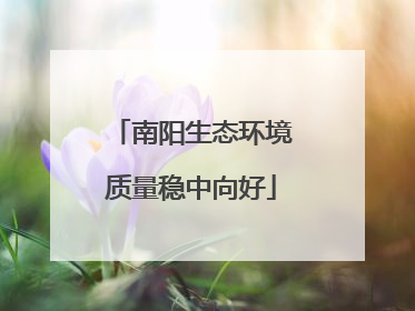 南阳生态环境质量稳中向好
