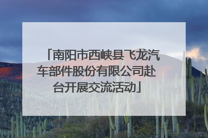 南阳市西峡县飞龙汽车部件股份有限公司赴台开展交流活动