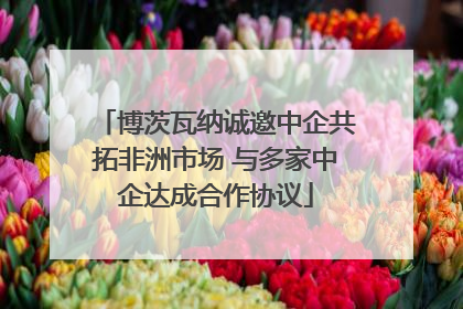 博茨瓦纳诚邀中企共拓非洲市场 与多家中企达成合作协议