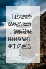 卫龙辣条双品类驱动，领航辣味休闲食品行业千亿赛道