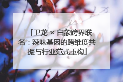 卫龙 × 白象跨界联名：辣味基因的跨维度共振与行业范式重构