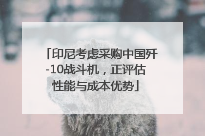 印尼考虑采购中国歼-10战斗机，正评估性能与成本优势