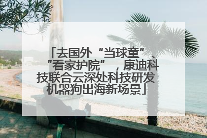 去国外“当球童”、“看家护院”，康迪科技联合云深处科技研发机器狗出海新场景