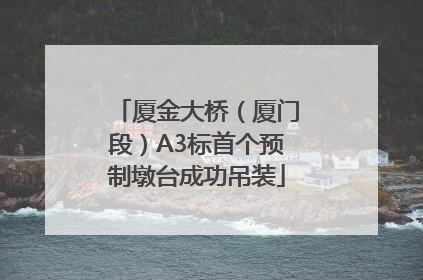 厦金大桥（厦门段）A3标首个预制墩台成功吊装