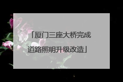 厦门三座大桥完成道路照明升级改造