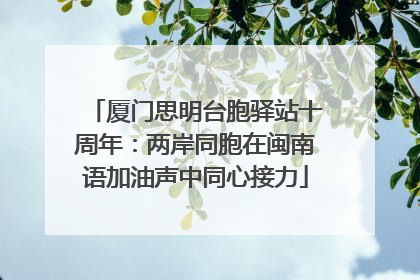 厦门思明台胞驿站十周年：两岸同胞在闽南语加油声中同心接力